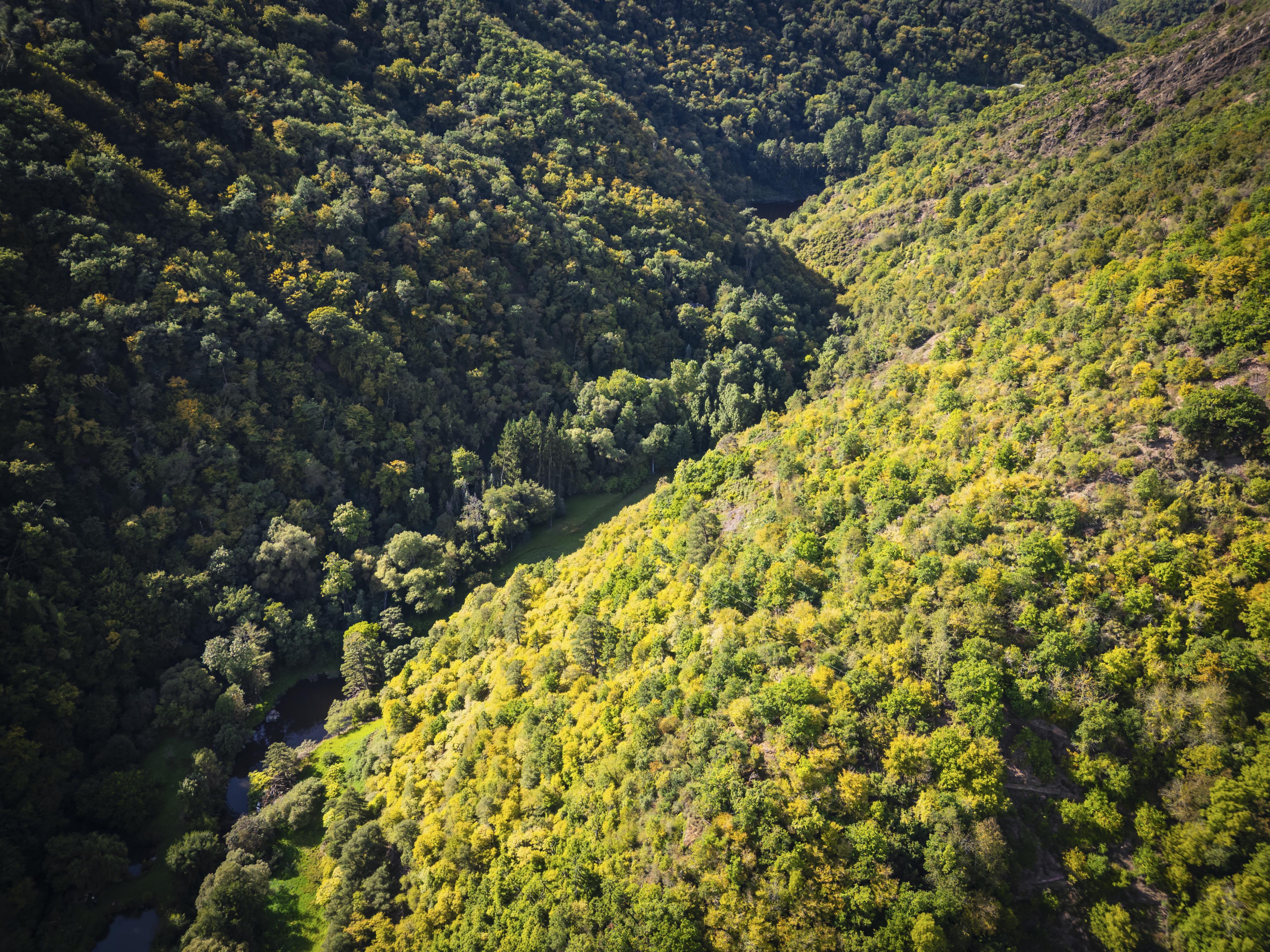 Mit klarem Blick für Natur und Projekte