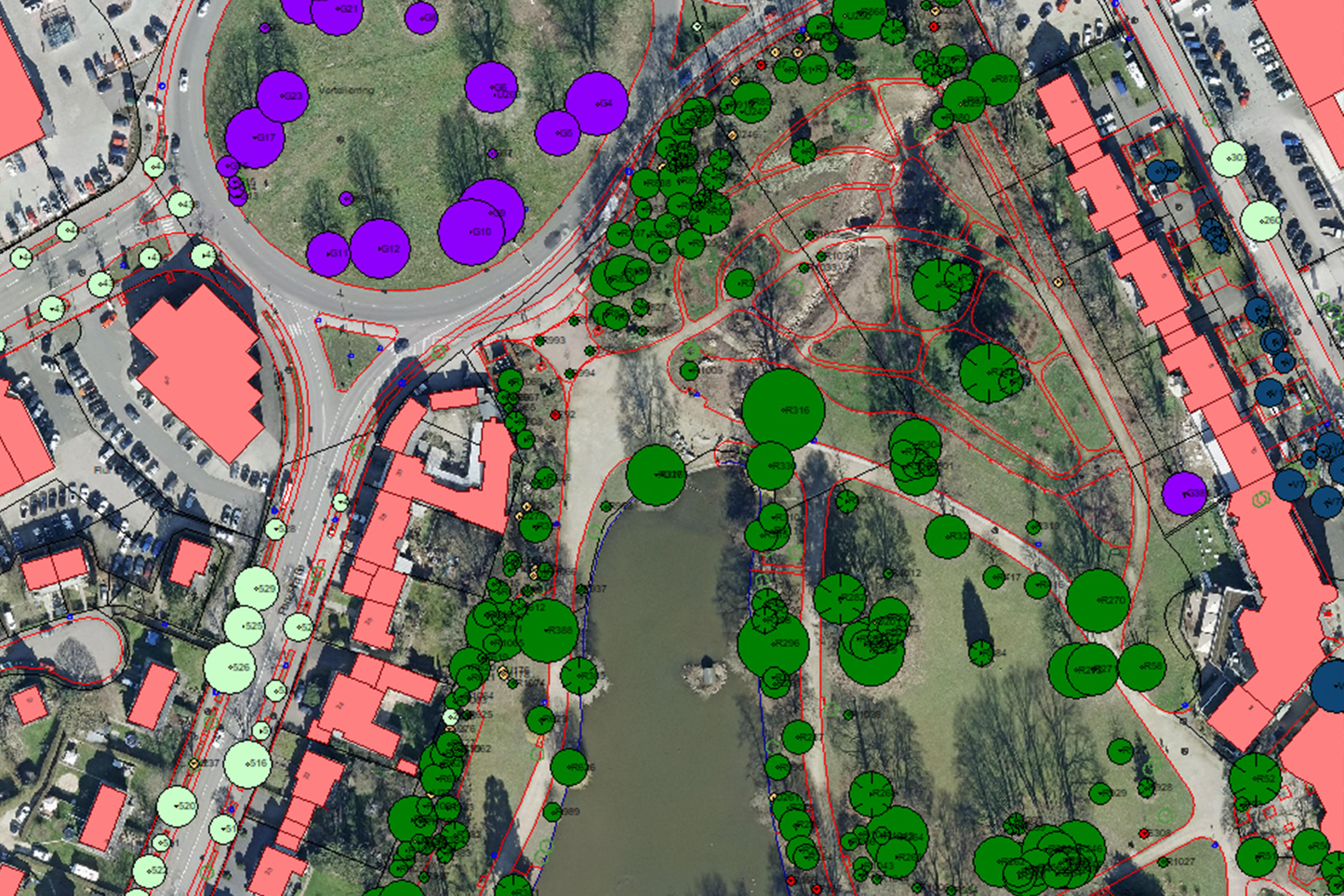 Digitales Baumkataster Erfassung und Verwaltung von Bäumen
