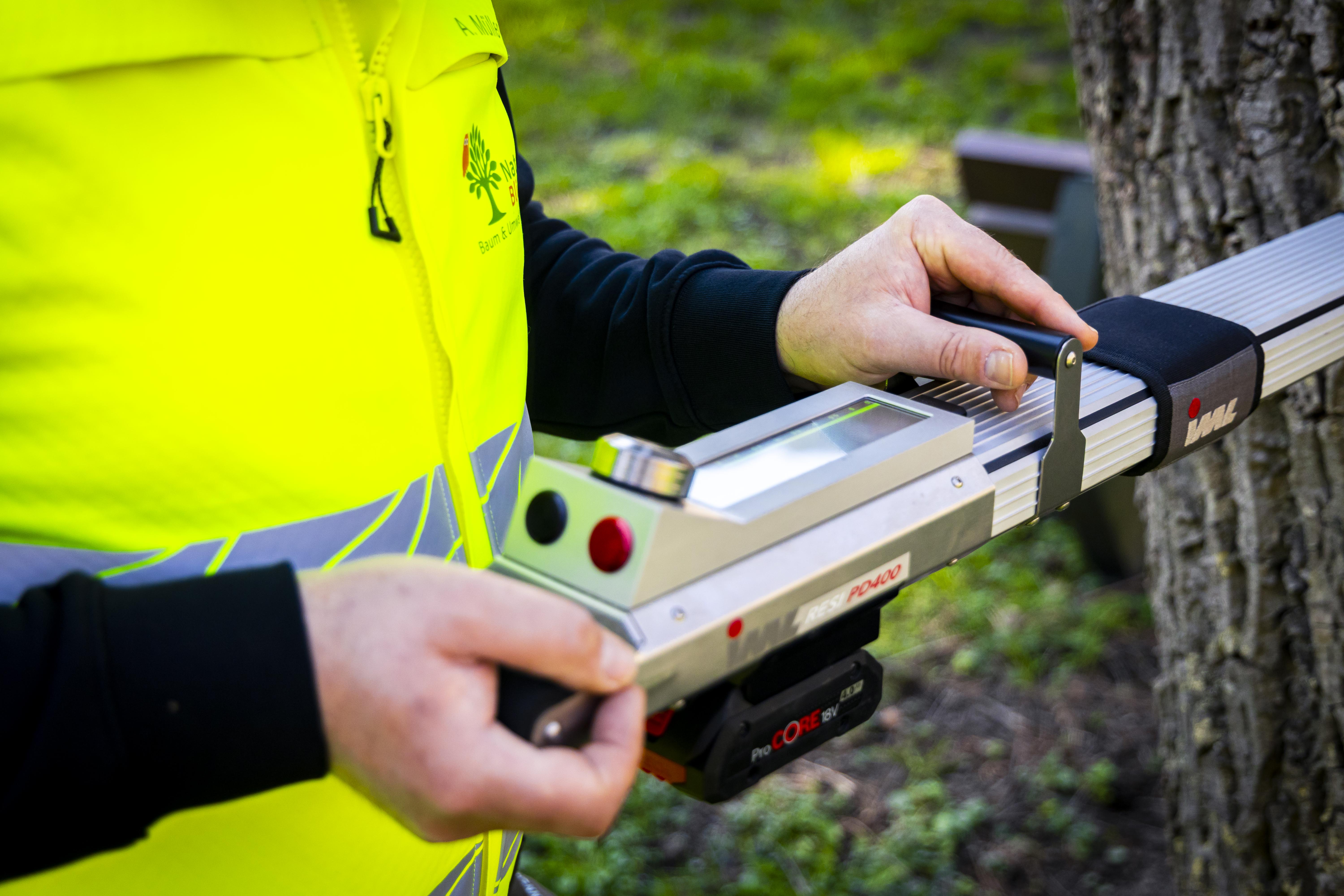 Baum- und Umweltanalyse Naturblick GmbH