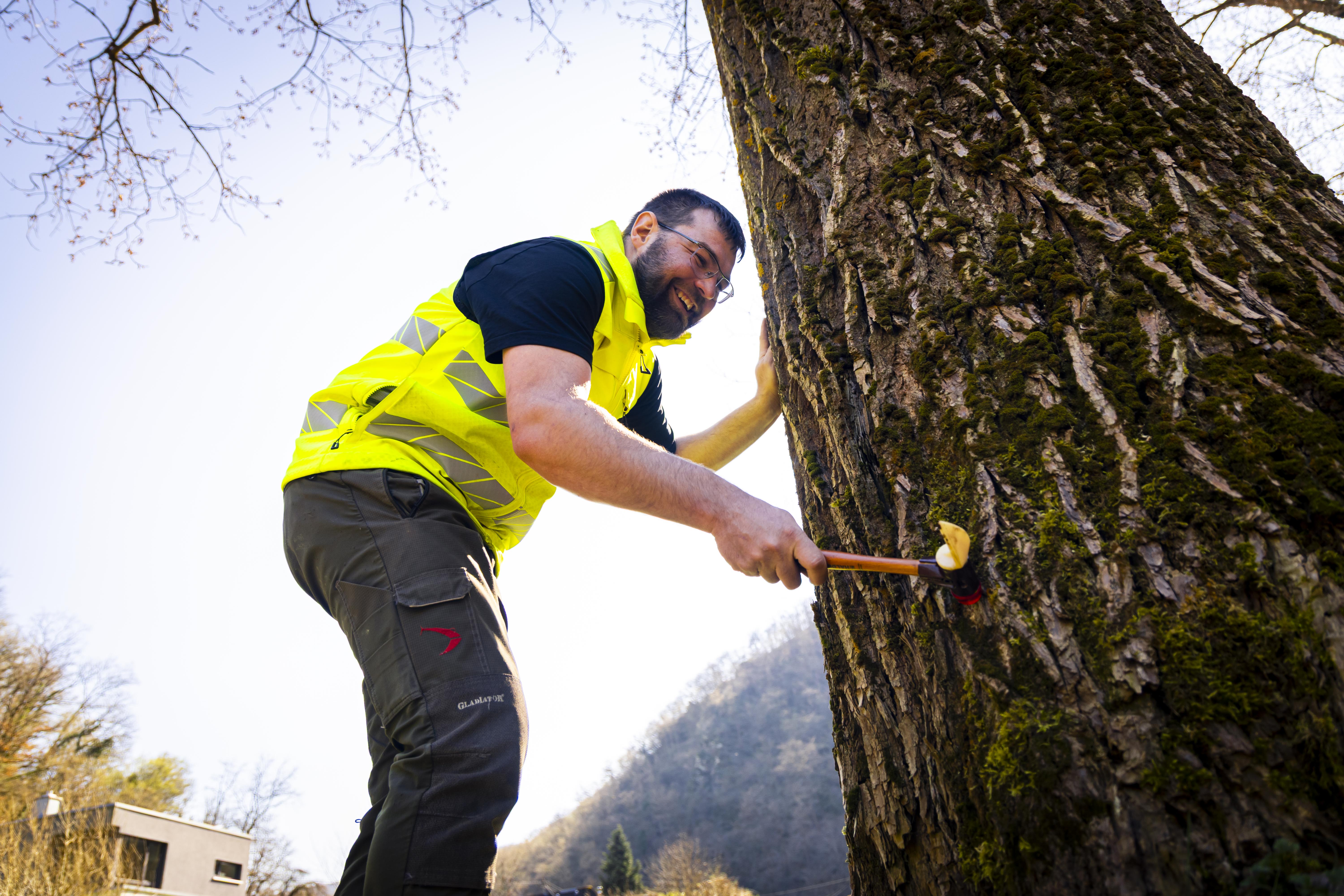 Baum- und Umweltanalyse Naturblick GmbH