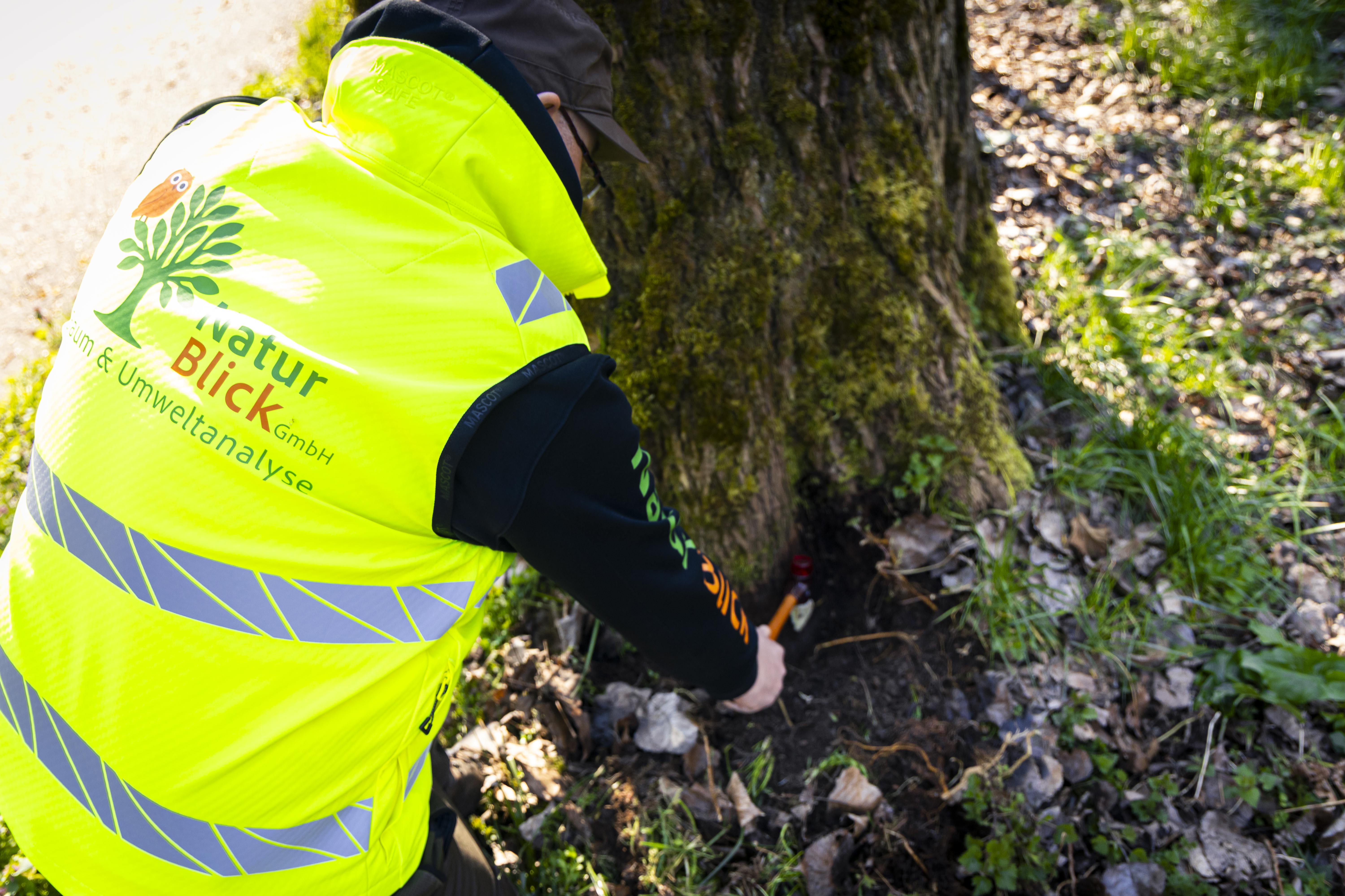 Baum- und Umweltanalyse Naturblick GmbH