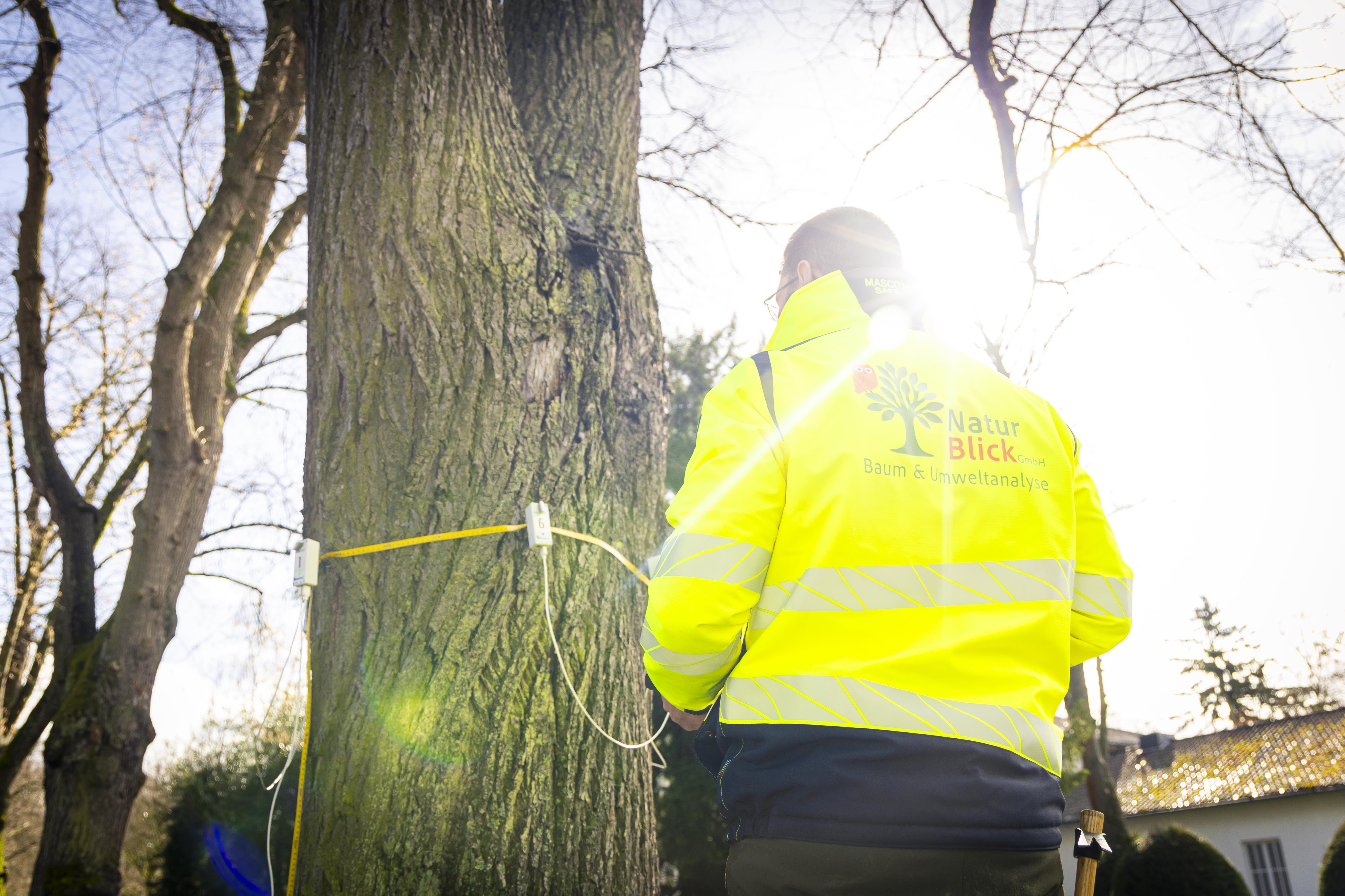 Baum- und Umweltanalyse Naturblick GmbH