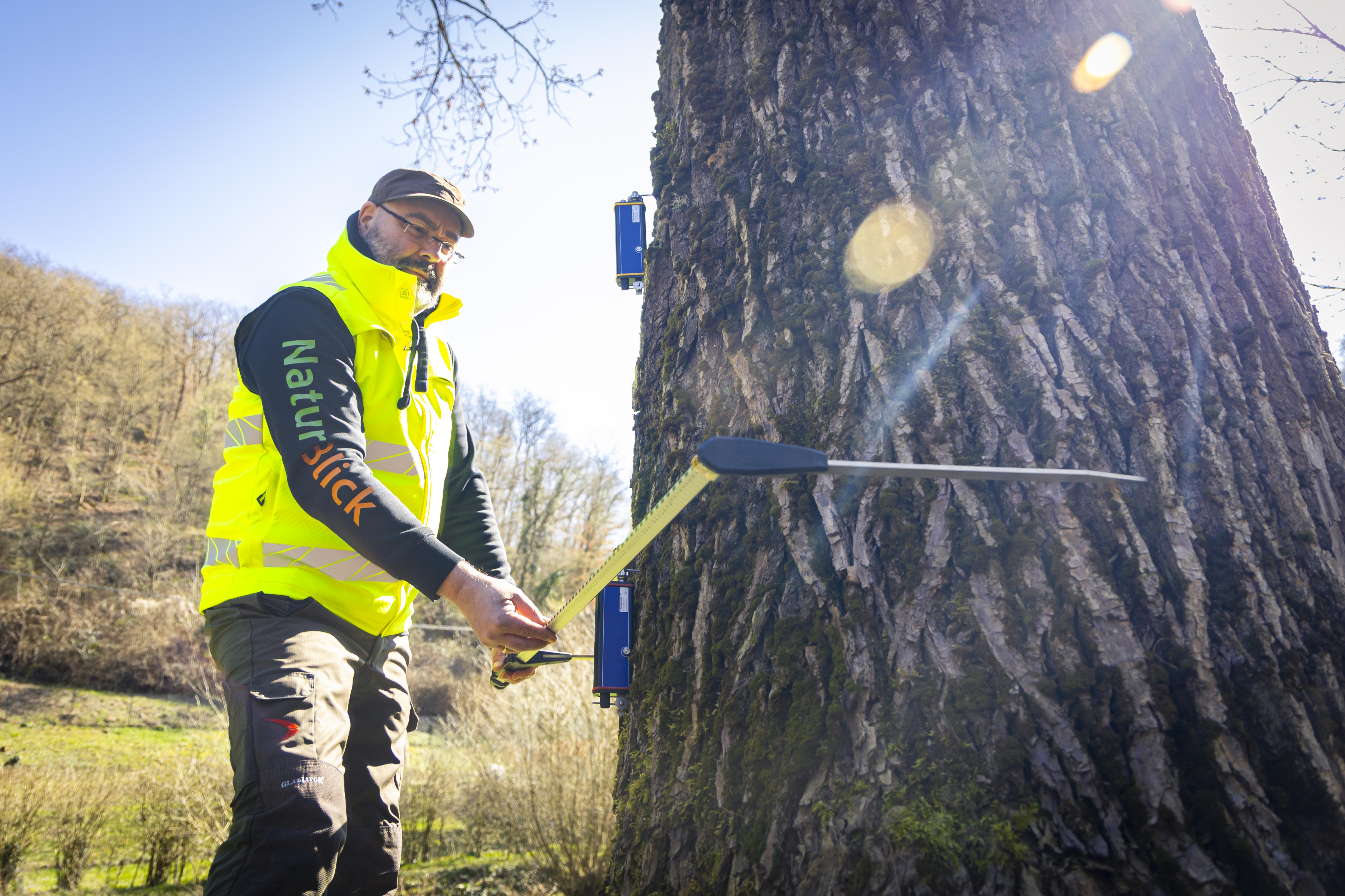 Baum- und Umweltanalyse Naturblick GmbH