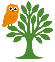 Baumgutachten und Analyse von Bäumen durch Naturblick GmbH