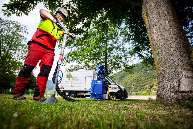 Bodenrevitalisierung zur Verbesserung der Standortbedingungen für Bäume